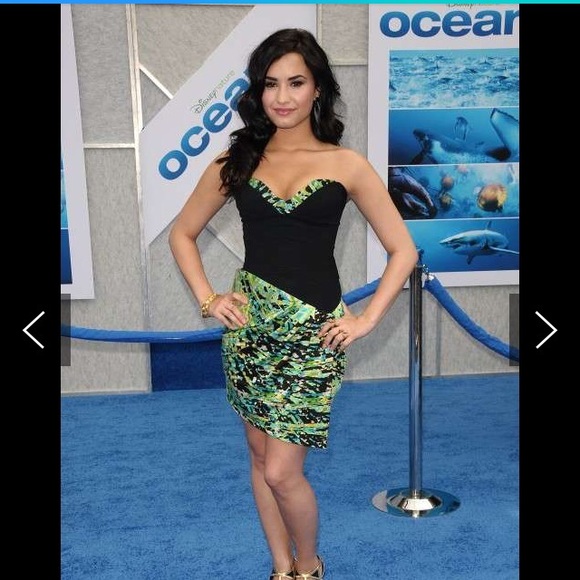 BCBG Splash Dress - Picture 5 of 5